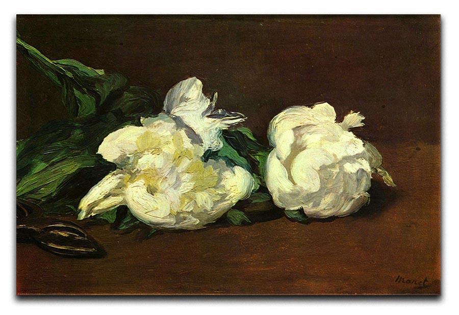 Still life White Peony by Manet Canvas Print or Poster  - Canvas Art Rocks - 1