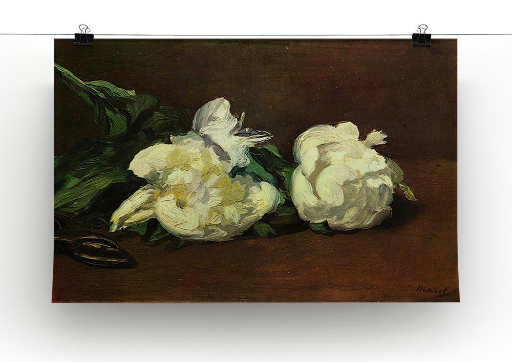 Still life White Peony by Manet Canvas Print or Poster - Canvas Art Rocks - 2