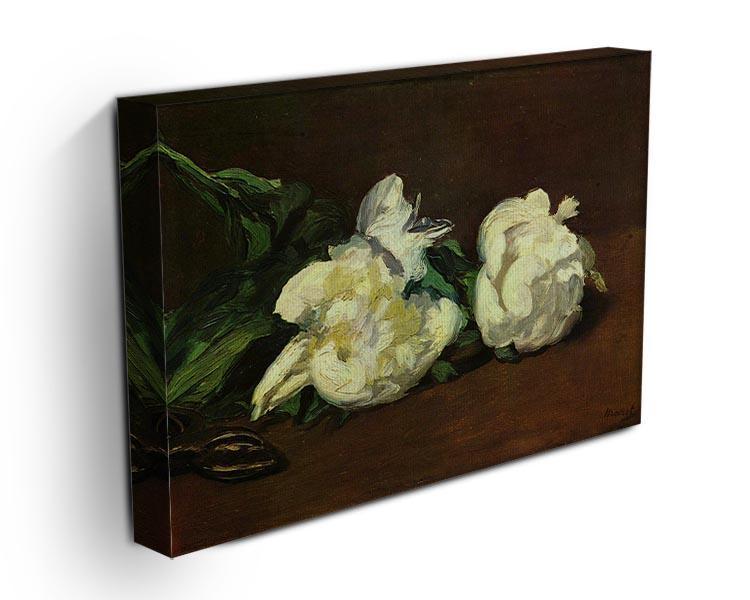 Still life White Peony by Manet Canvas Print or Poster - Canvas Art Rocks - 3