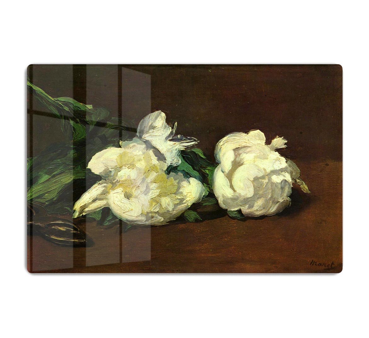 Still life White Peony by Manet HD Metal Print