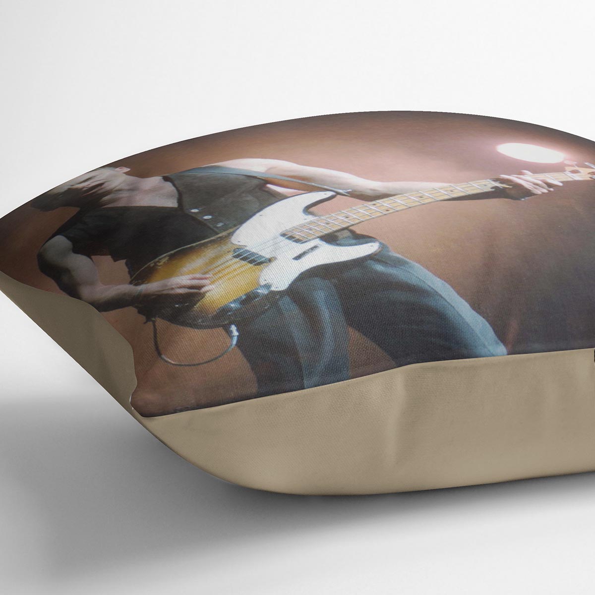 Sting in concert Cushion