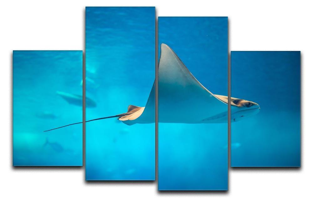 Stingray in the aquarium 4 Split Panel Canvas  - Canvas Art Rocks - 1
