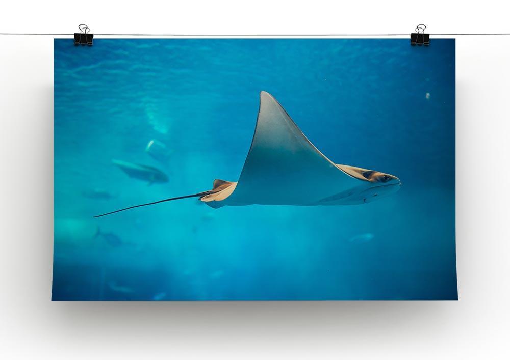 Stingray in the aquarium Canvas Print or Poster - Canvas Art Rocks - 2