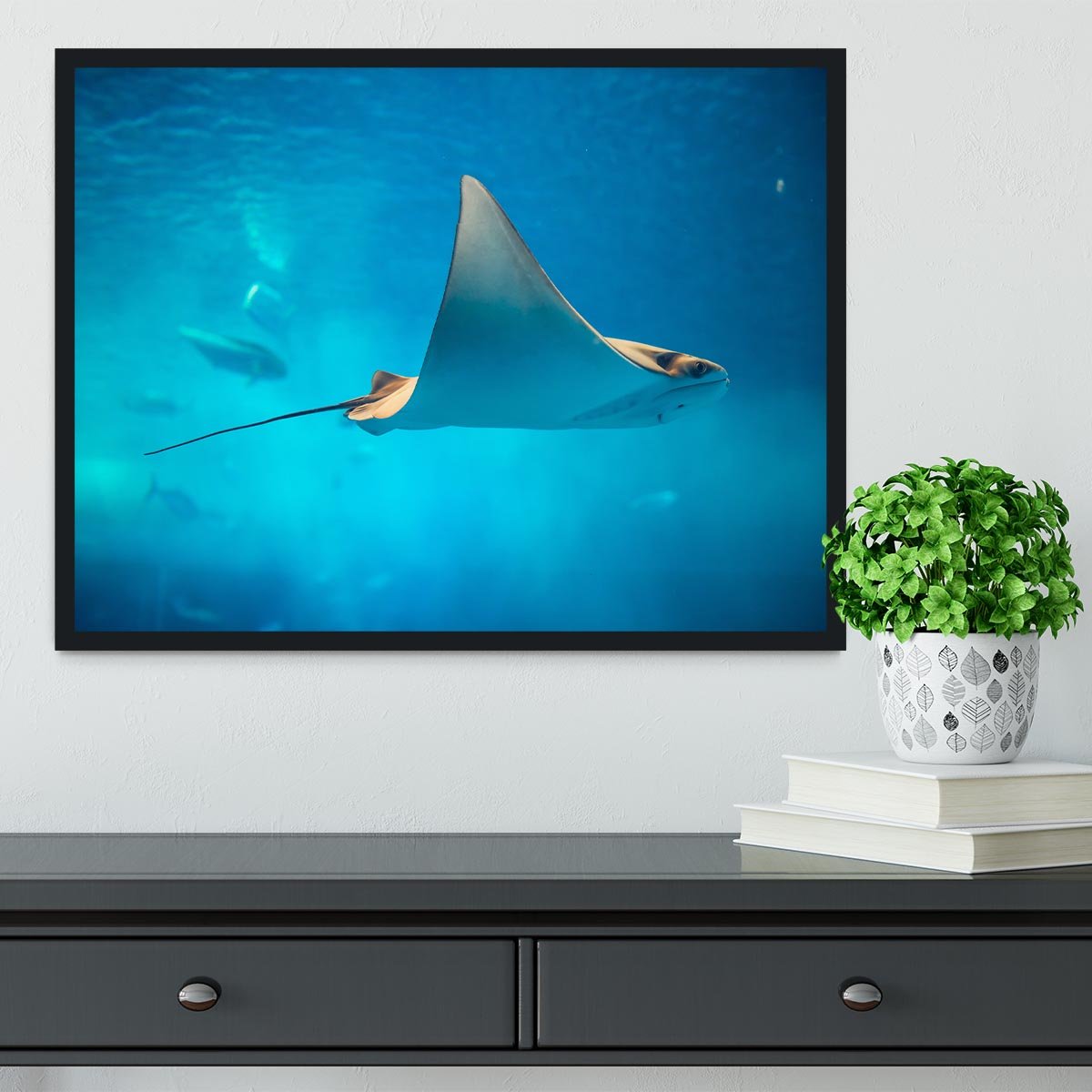 Stingray in the aquarium Framed Print - Canvas Art Rocks - 2