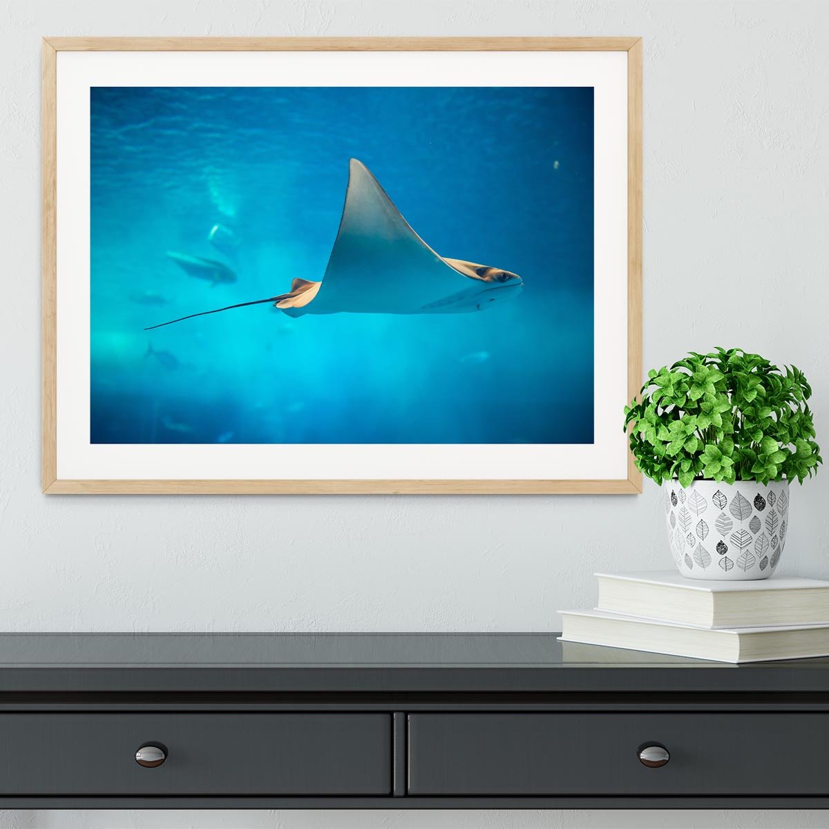 Stingray in the aquarium Framed Print - Canvas Art Rocks - 3