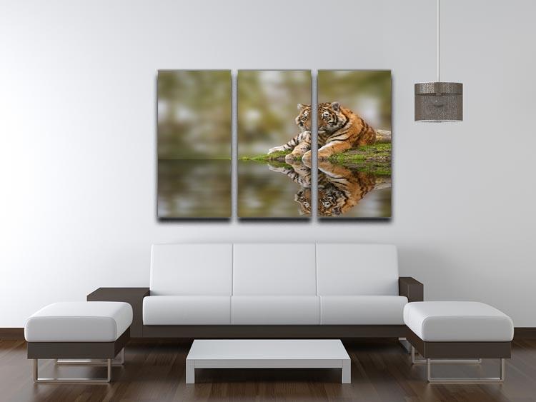 Sttunning tiger cub relaxing on a warm day 3 Split Panel Canvas Print - Canvas Art Rocks - 3
