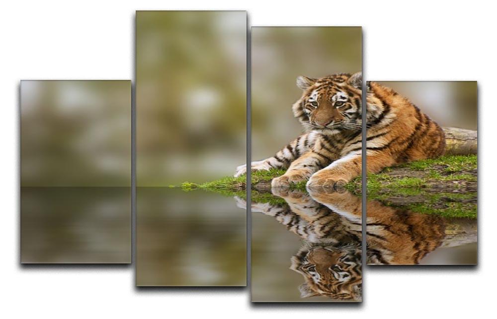 Sttunning tiger cub relaxing on a warm day 4 Split Panel Canvas - Canvas Art Rocks - 1