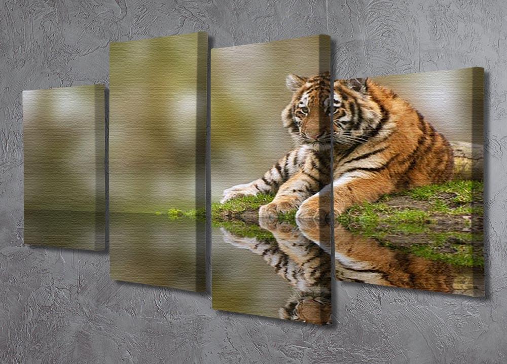 Sttunning tiger cub relaxing on a warm day 4 Split Panel Canvas - Canvas Art Rocks - 2