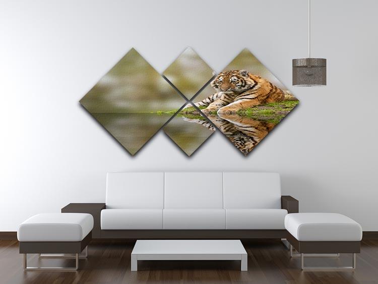 Sttunning tiger cub relaxing on a warm day 4 Square Multi Panel Canvas - Canvas Art Rocks - 3