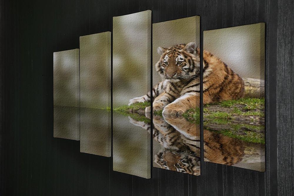 Sttunning tiger cub relaxing on a warm day 5 Split Panel Canvas - Canvas Art Rocks - 2
