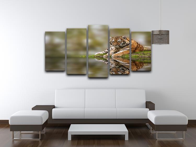 Sttunning tiger cub relaxing on a warm day 5 Split Panel Canvas - Canvas Art Rocks - 3