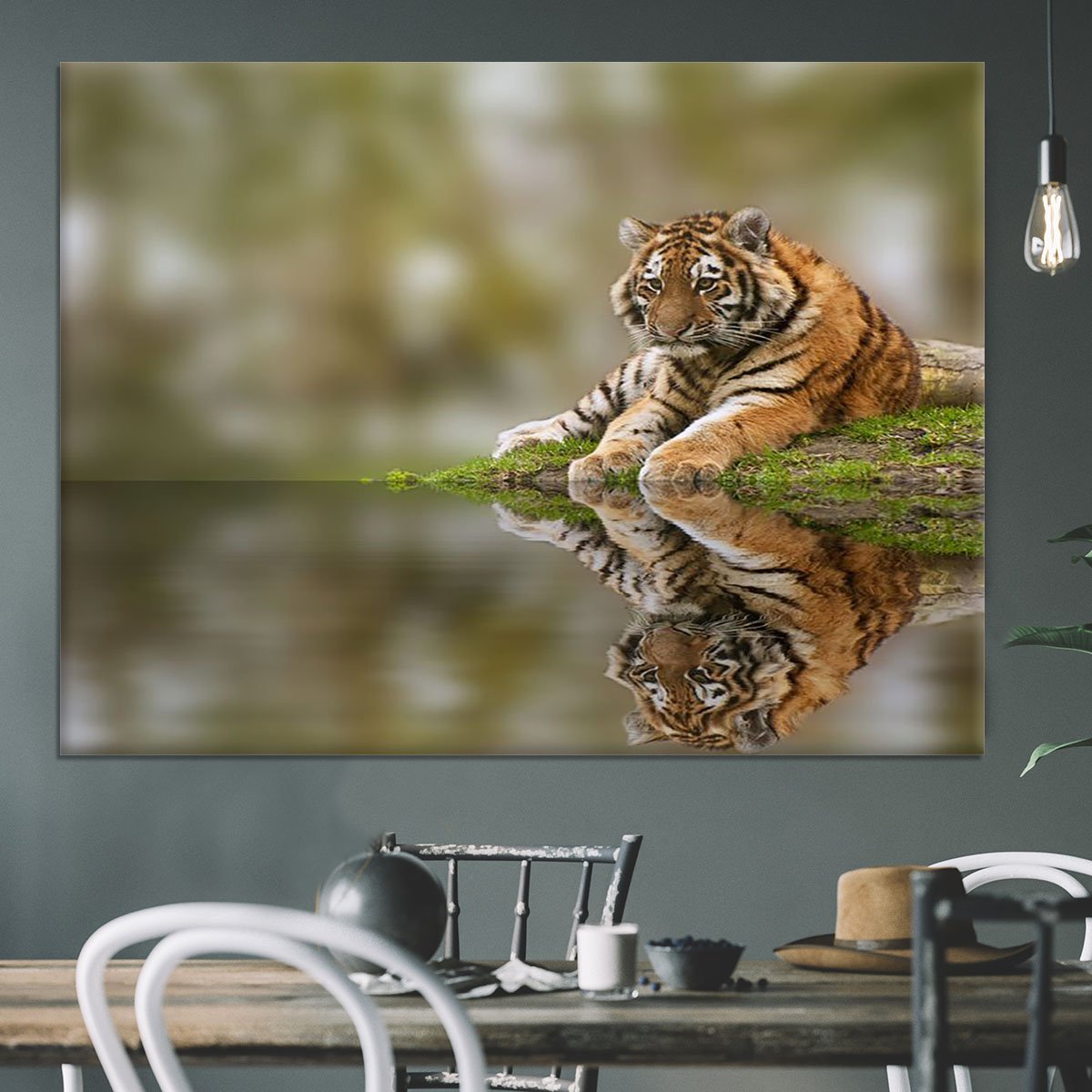 Sttunning tiger cub relaxing on a warm day Canvas Print or Poster