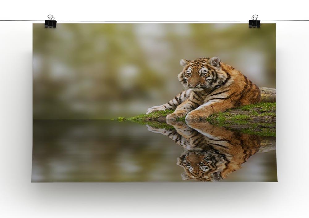 Sttunning tiger cub relaxing on a warm day Canvas Print or Poster - Canvas Art Rocks - 2