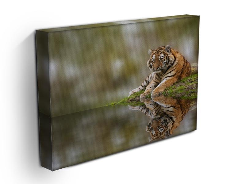 Sttunning tiger cub relaxing on a warm day Canvas Print or Poster - Canvas Art Rocks - 3