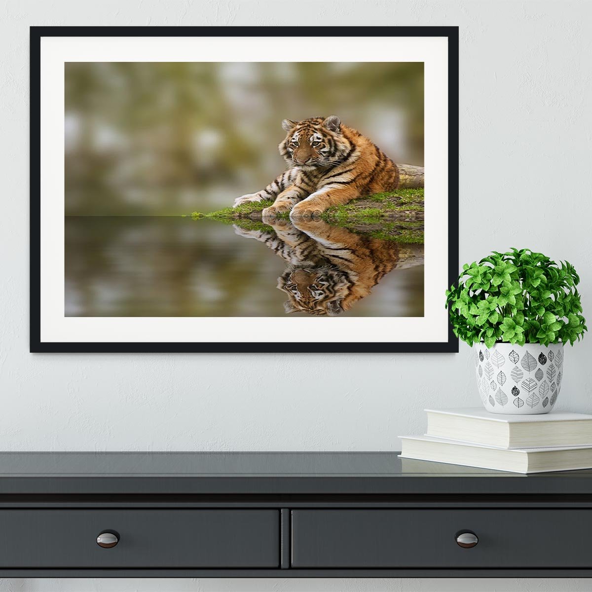 Sttunning tiger cub relaxing on a warm day Framed Print - Canvas Art Rocks - 1