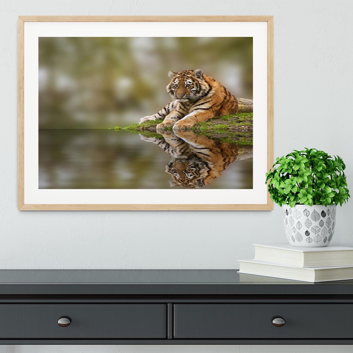 Sttunning tiger cub relaxing on a warm day Framed Print - Canvas Art Rocks - 3
