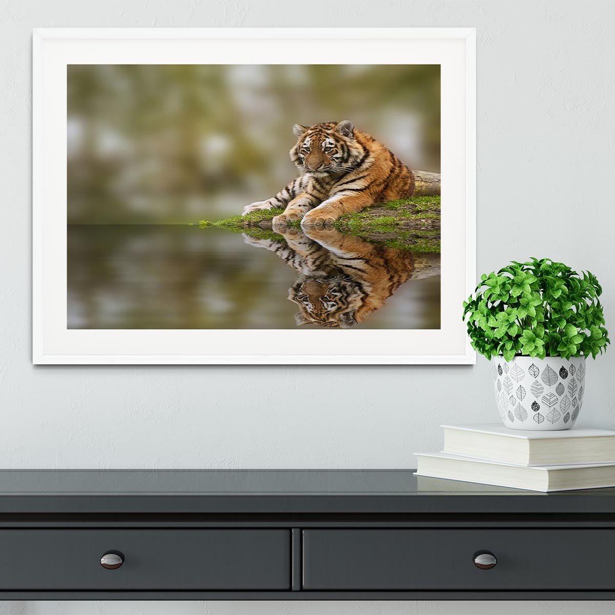 Sttunning tiger cub relaxing on a warm day Framed Print - Canvas Art Rocks - 5