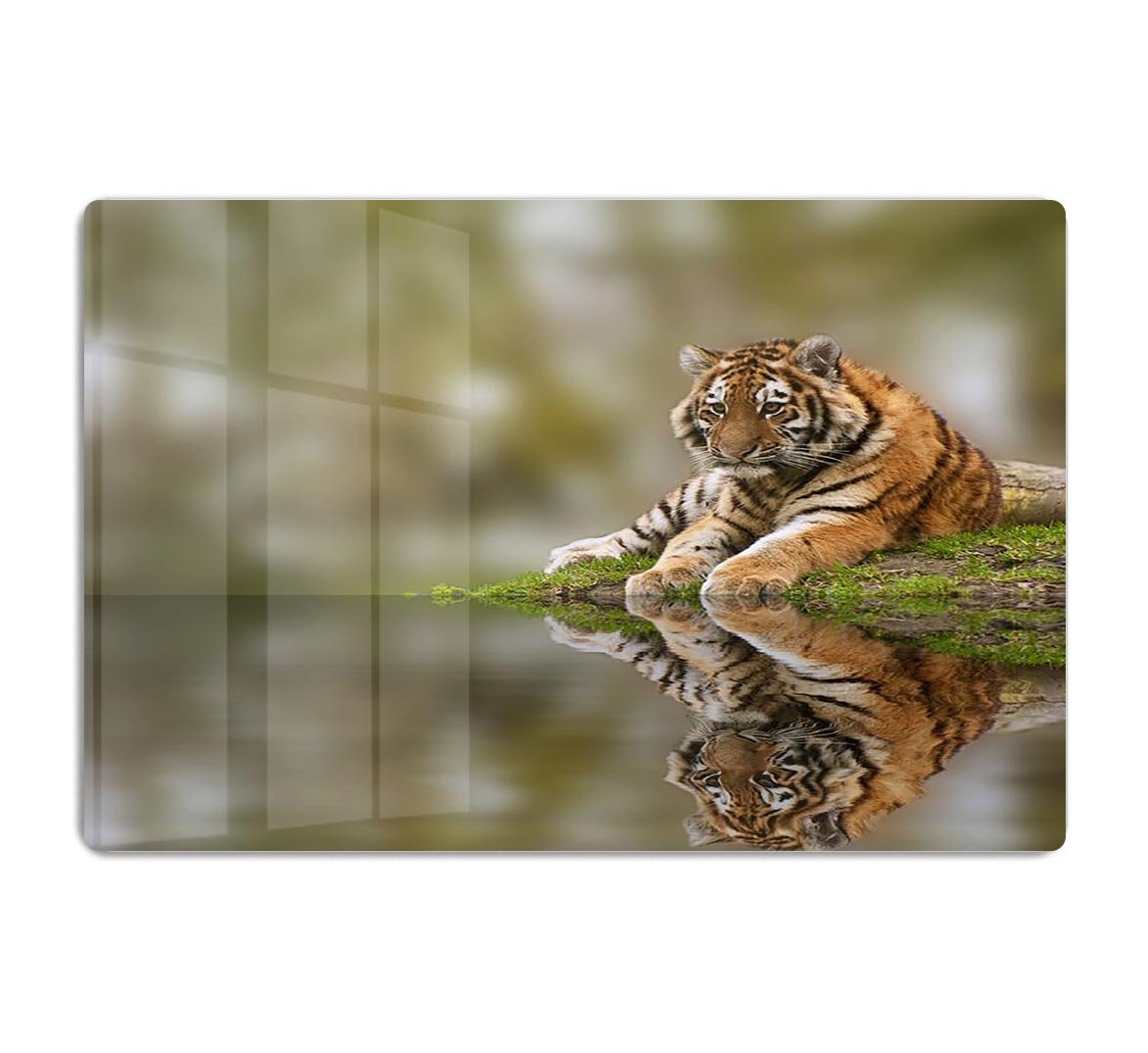 Sttunning tiger cub relaxing on a warm day HD Metal Print - Canvas Art Rocks - 1