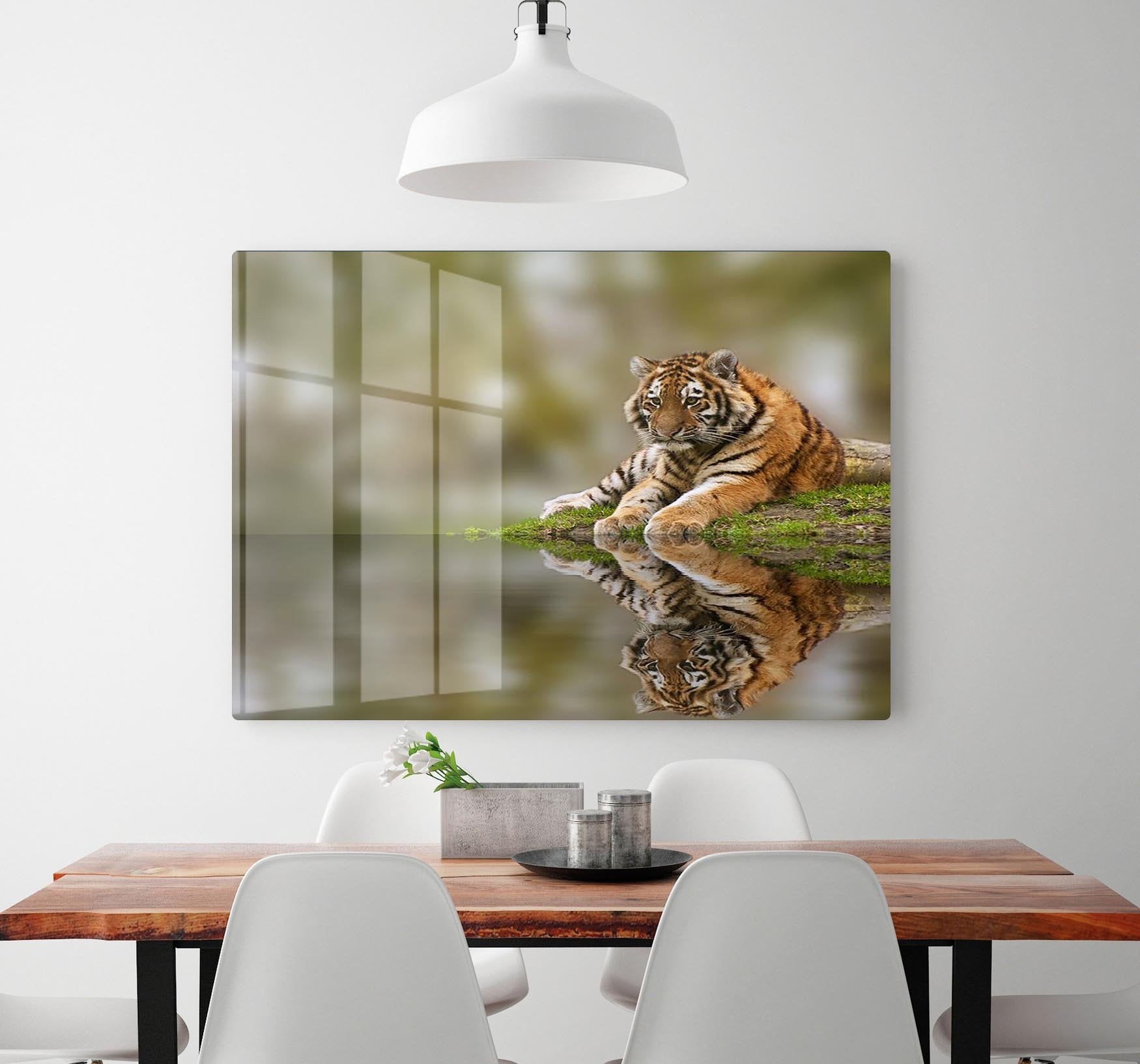 Sttunning tiger cub relaxing on a warm day HD Metal Print - Canvas Art Rocks - 2