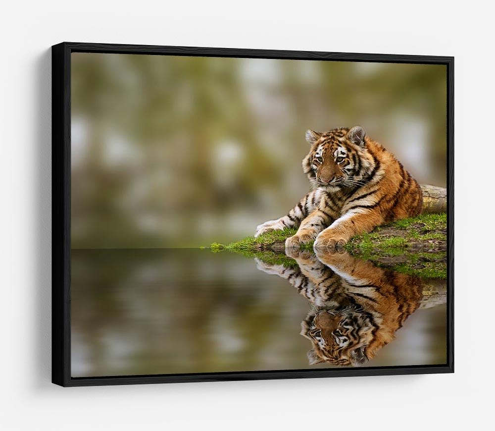 Sttunning tiger cub relaxing on a warm day HD Metal Print - Canvas Art Rocks - 6