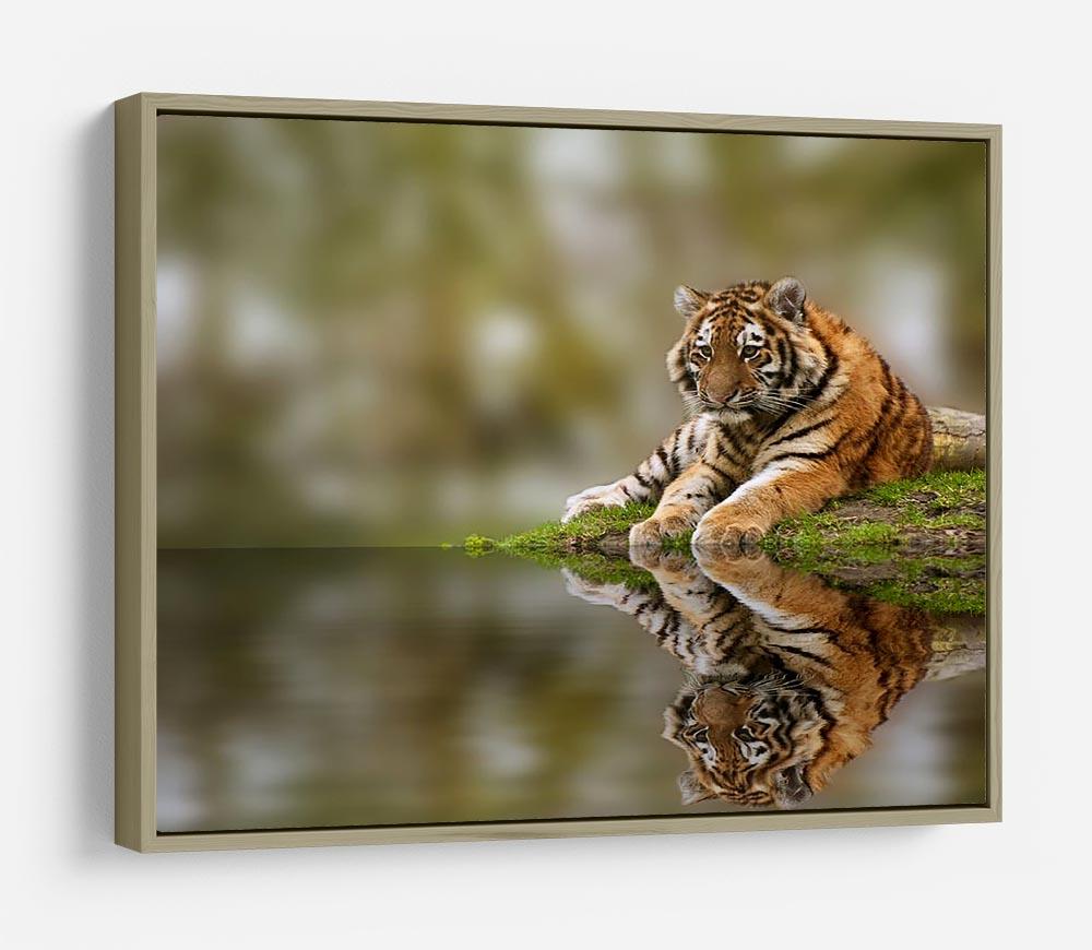 Sttunning tiger cub relaxing on a warm day HD Metal Print - Canvas Art Rocks - 8
