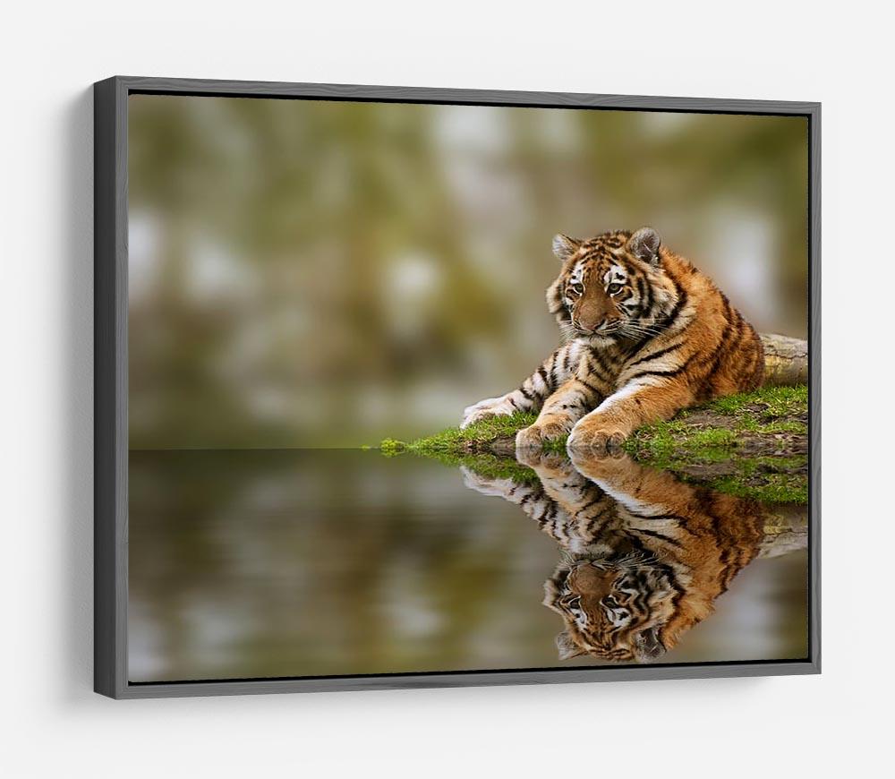 Sttunning tiger cub relaxing on a warm day HD Metal Print - Canvas Art Rocks - 9