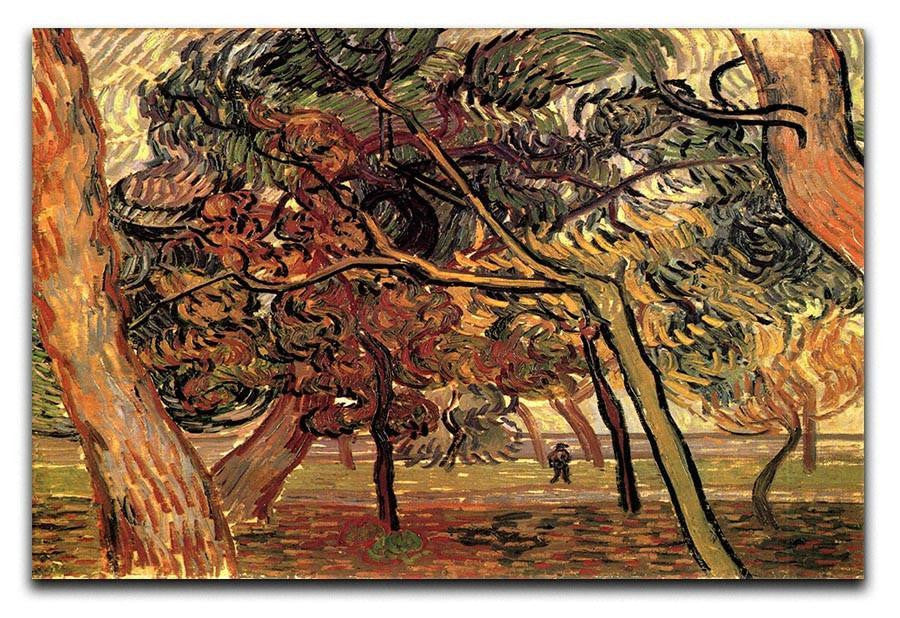Study of Pine Trees by Van Gogh Canvas Print & Poster  - Canvas Art Rocks - 1