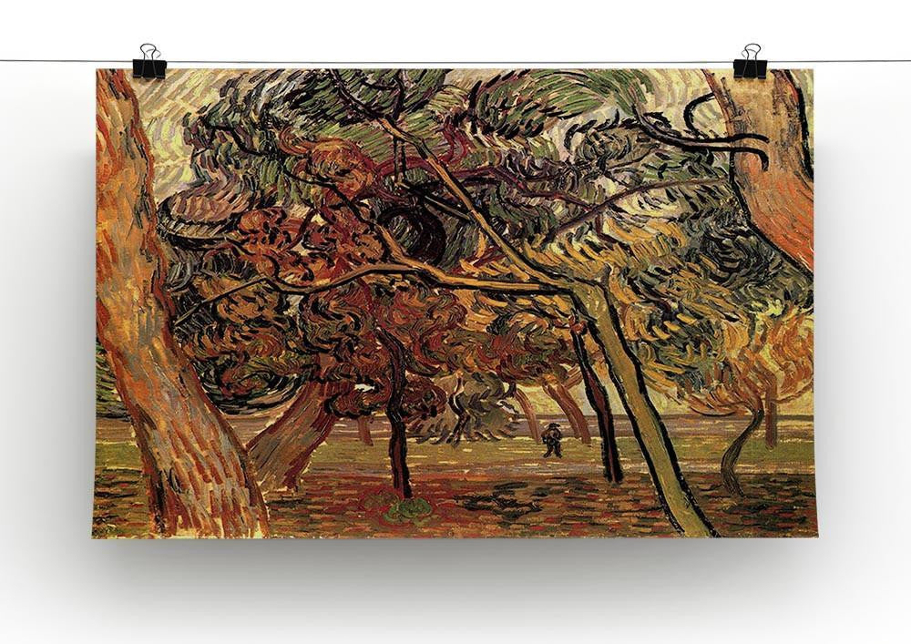 Study of Pine Trees by Van Gogh Canvas Print & Poster - Canvas Art Rocks - 2