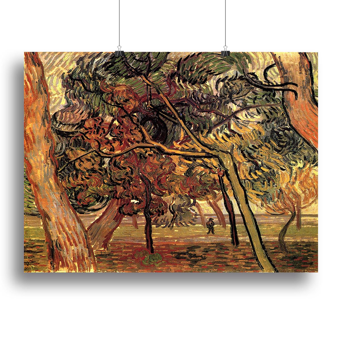 Study of Pine Trees by Van Gogh Canvas Print or Poster