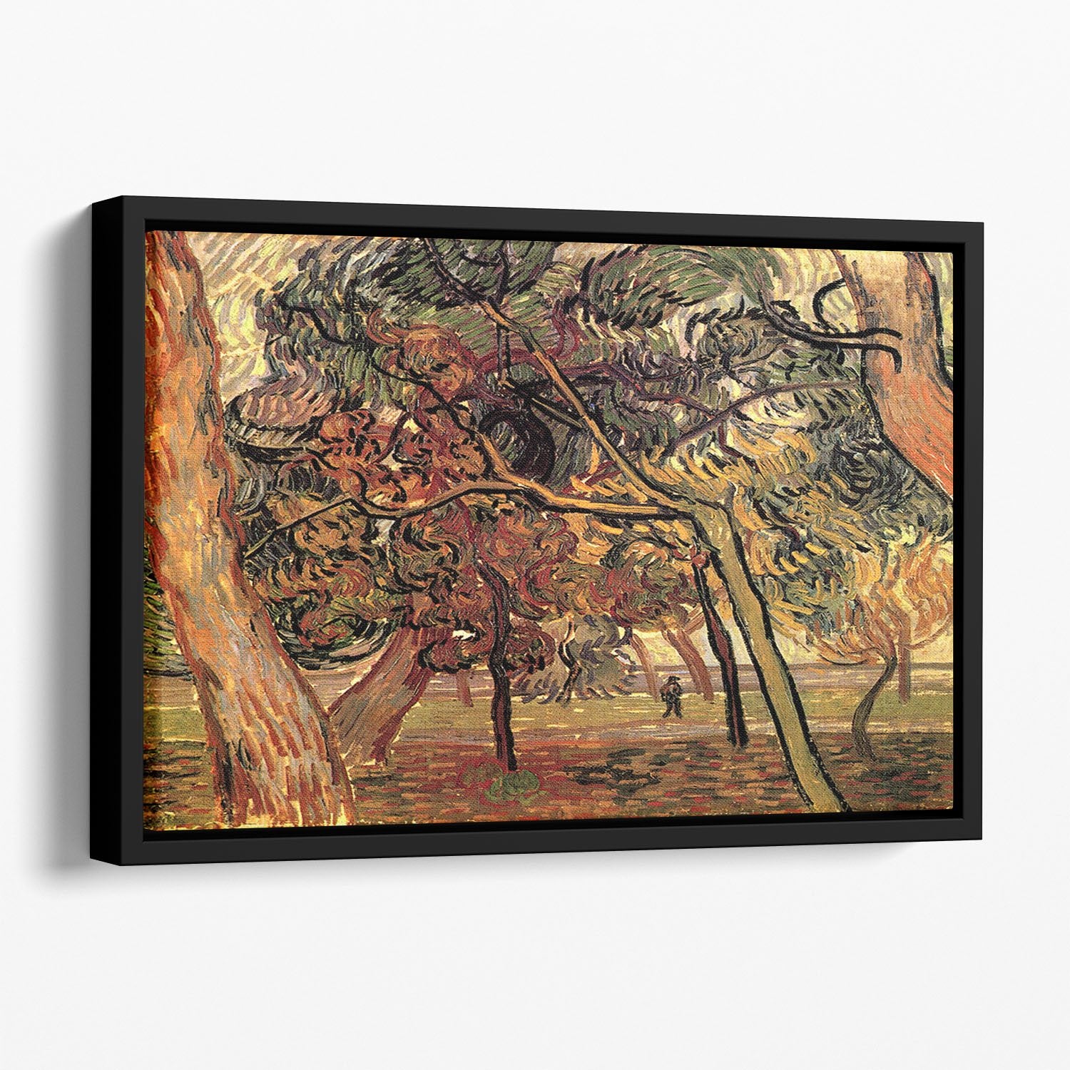 Study of Pine Trees by Van Gogh Floating Framed Canvas