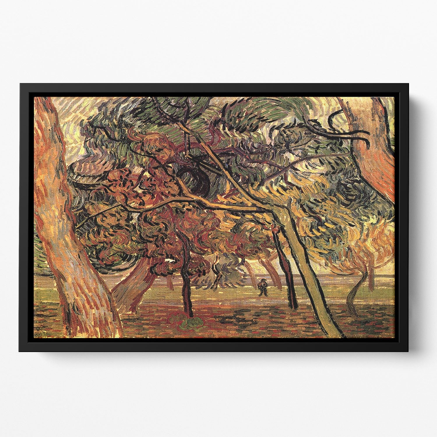 Study of Pine Trees by Van Gogh Floating Framed Canvas
