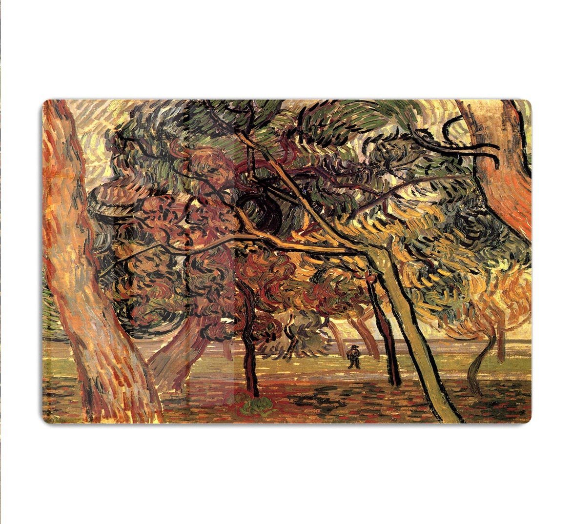 Study of Pine Trees by Van Gogh HD Metal Print