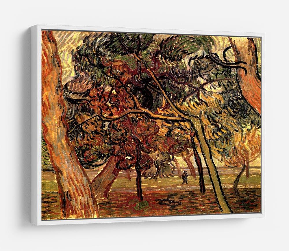 Study of Pine Trees by Van Gogh HD Metal Print