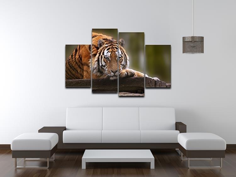 Stunning tiger relaxing 4 Split Panel Canvas - Canvas Art Rocks - 3
