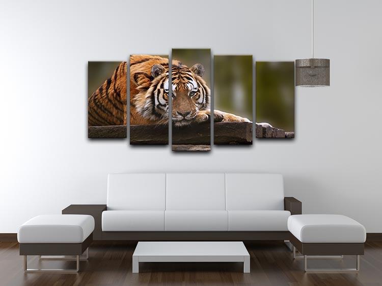 Stunning tiger relaxing 5 Split Panel Canvas - Canvas Art Rocks - 3