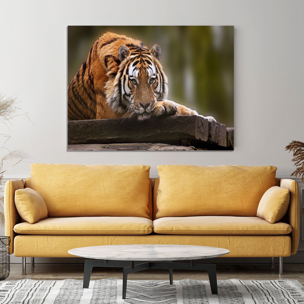 Stunning tiger relaxing Canvas Print or Poster
