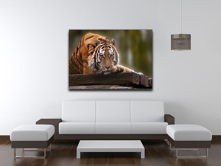 Stunning tiger relaxing Canvas Print or Poster - Canvas Art Rocks - 4