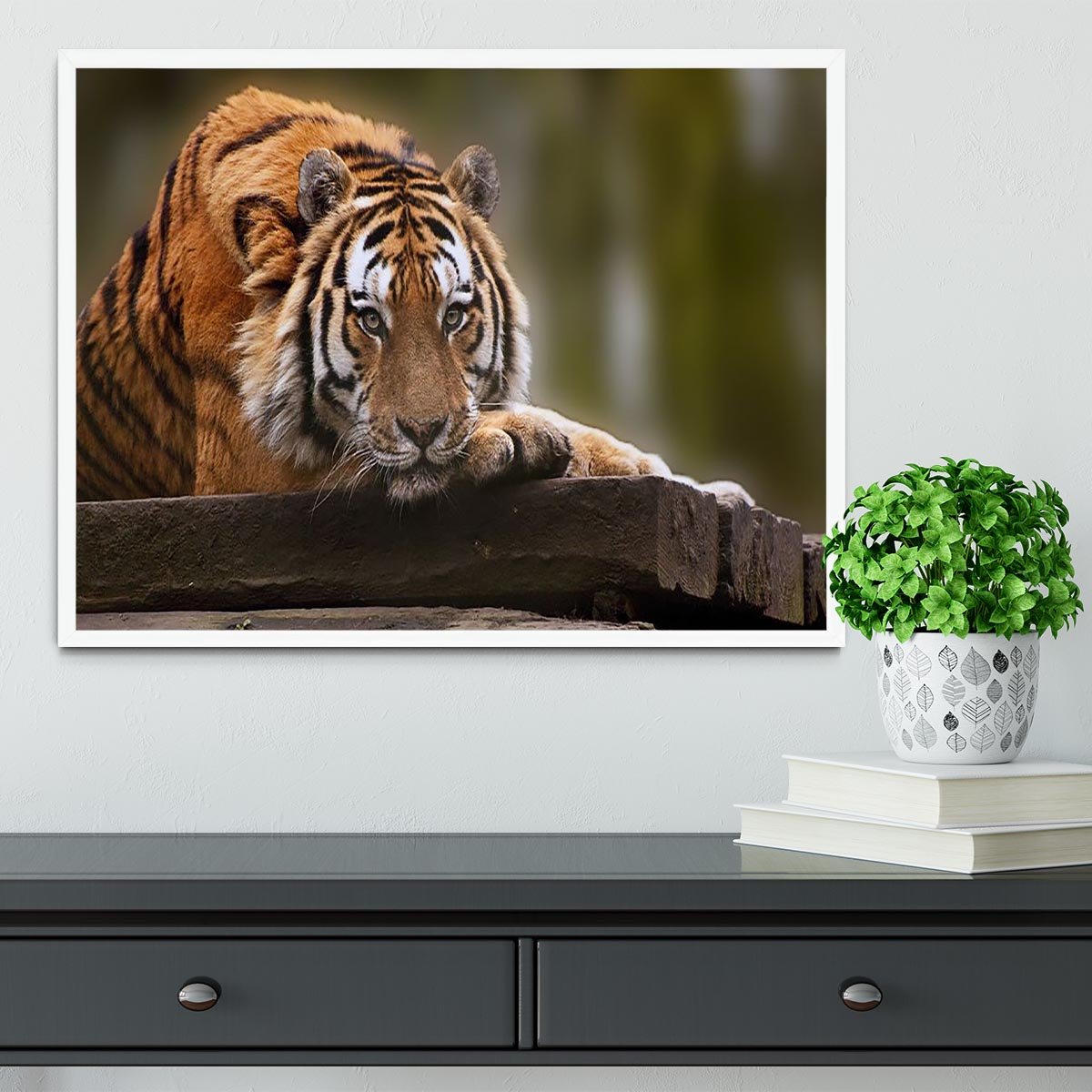 Stunning tiger relaxing Framed Print - Canvas Art Rocks -6