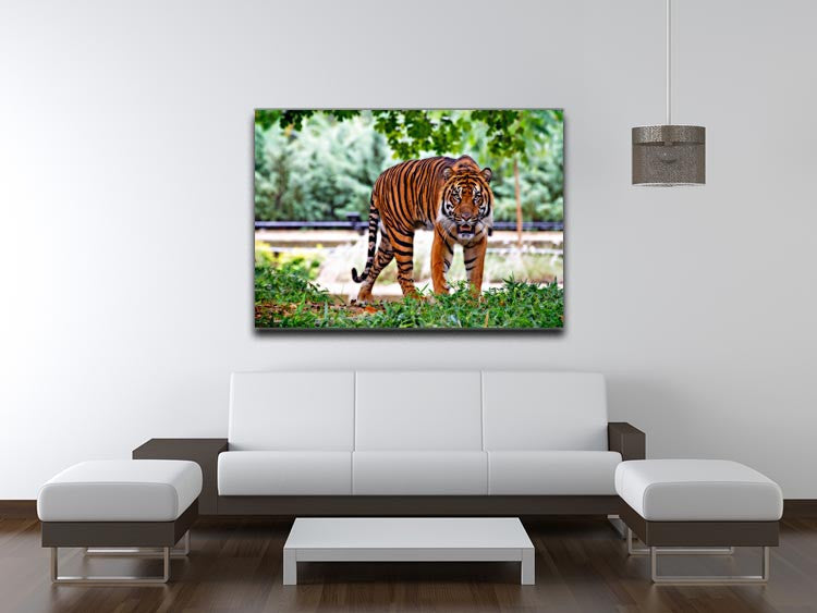 Sumatran Tiger Print - Canvas Art Rocks - 4
