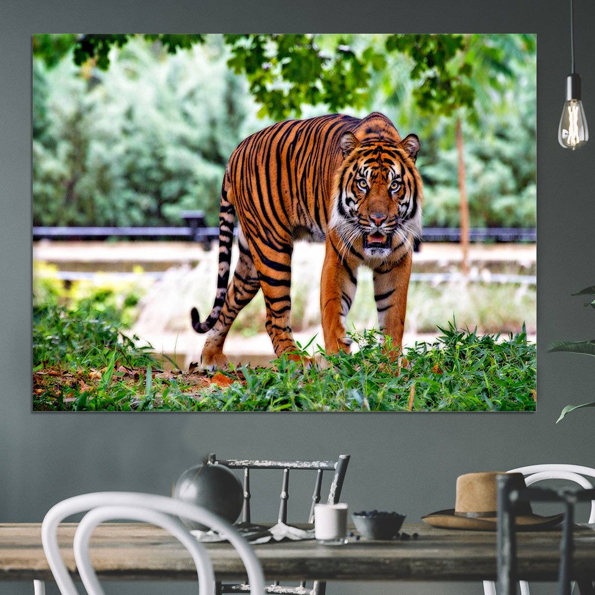 Sumatran Tiger Canvas Print or Poster