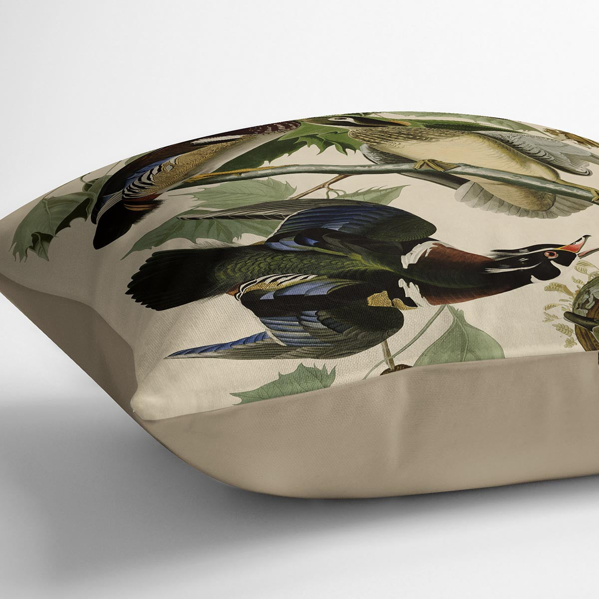 Summer Duck by Audubon Cushion