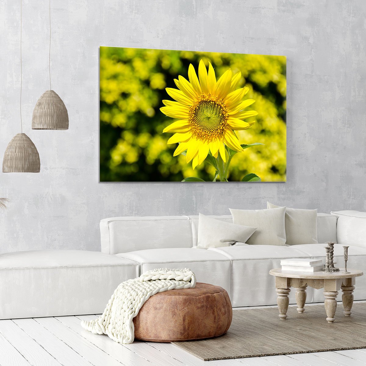 Sunflowers bloom in summer Canvas Print or Poster