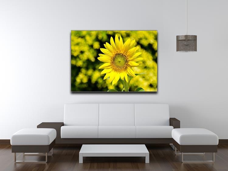 Sunflowers bloom in summer Canvas Print or Poster - Canvas Art Rocks - 4