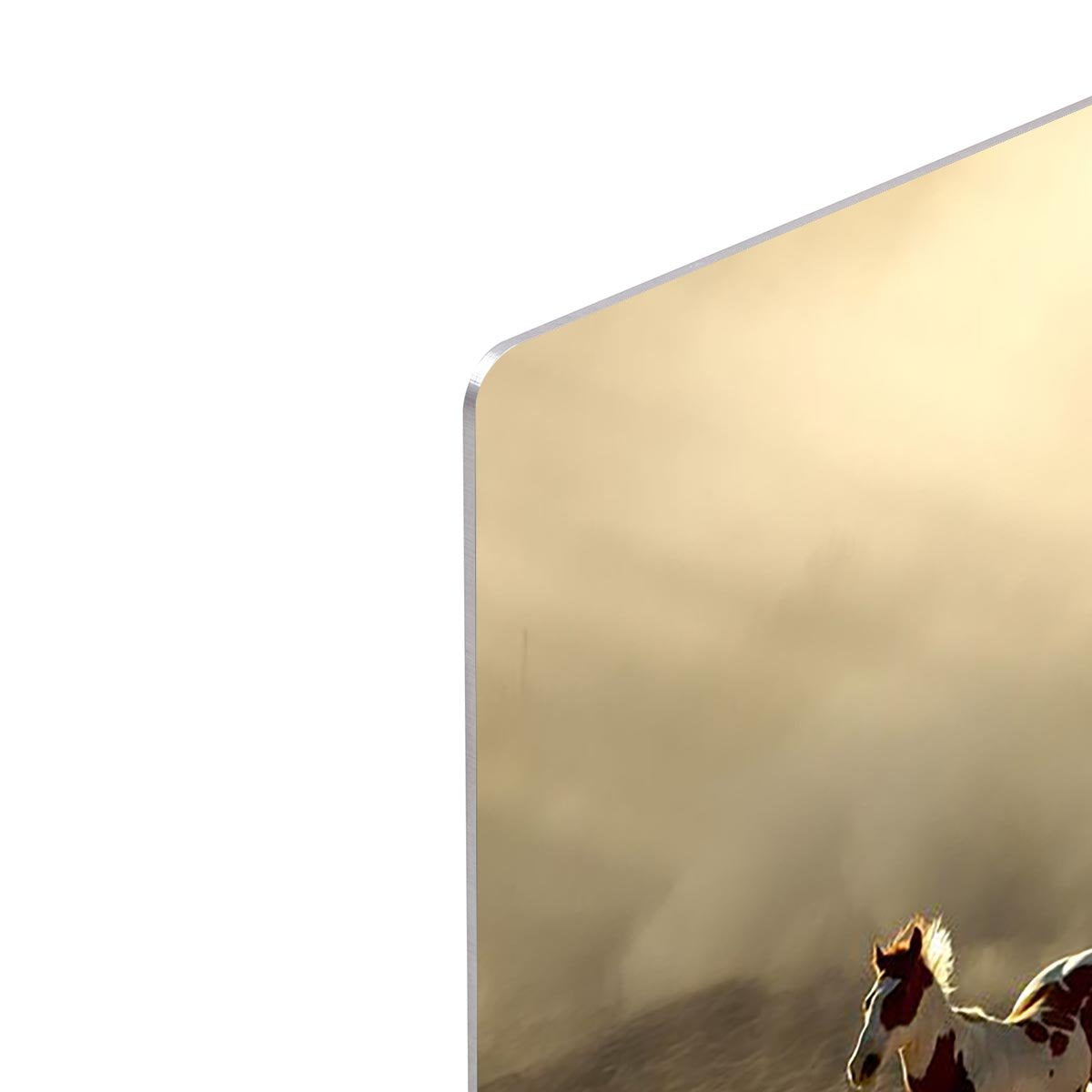 Sunlight Horses and cowboy HD Metal Print - Canvas Art Rocks - 4