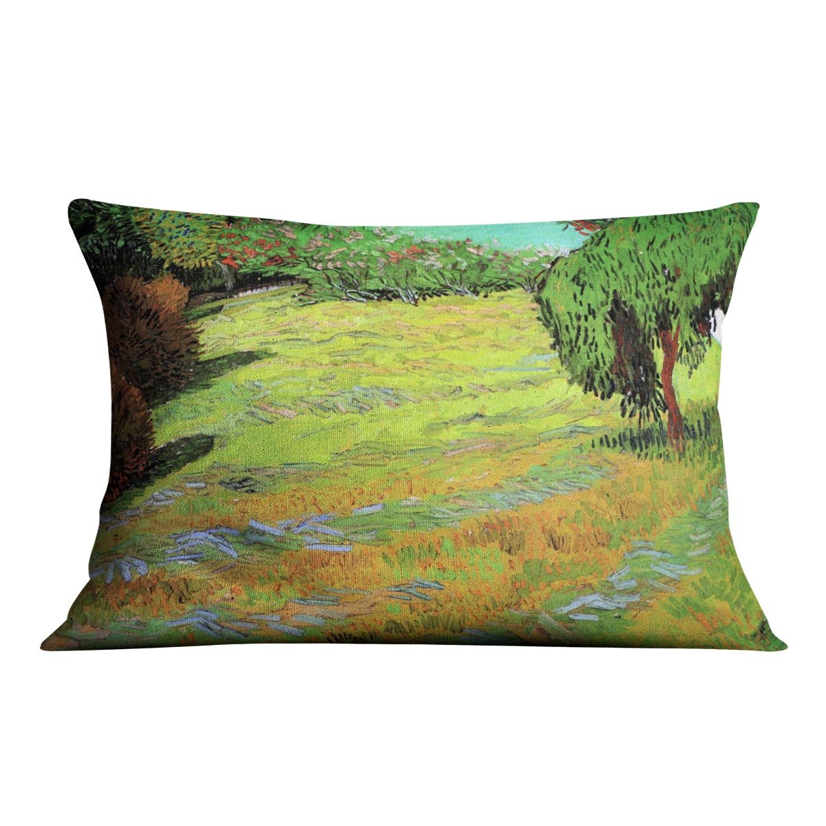 Sunny Lawn in a Public Park by Van Gogh Throw Pillow