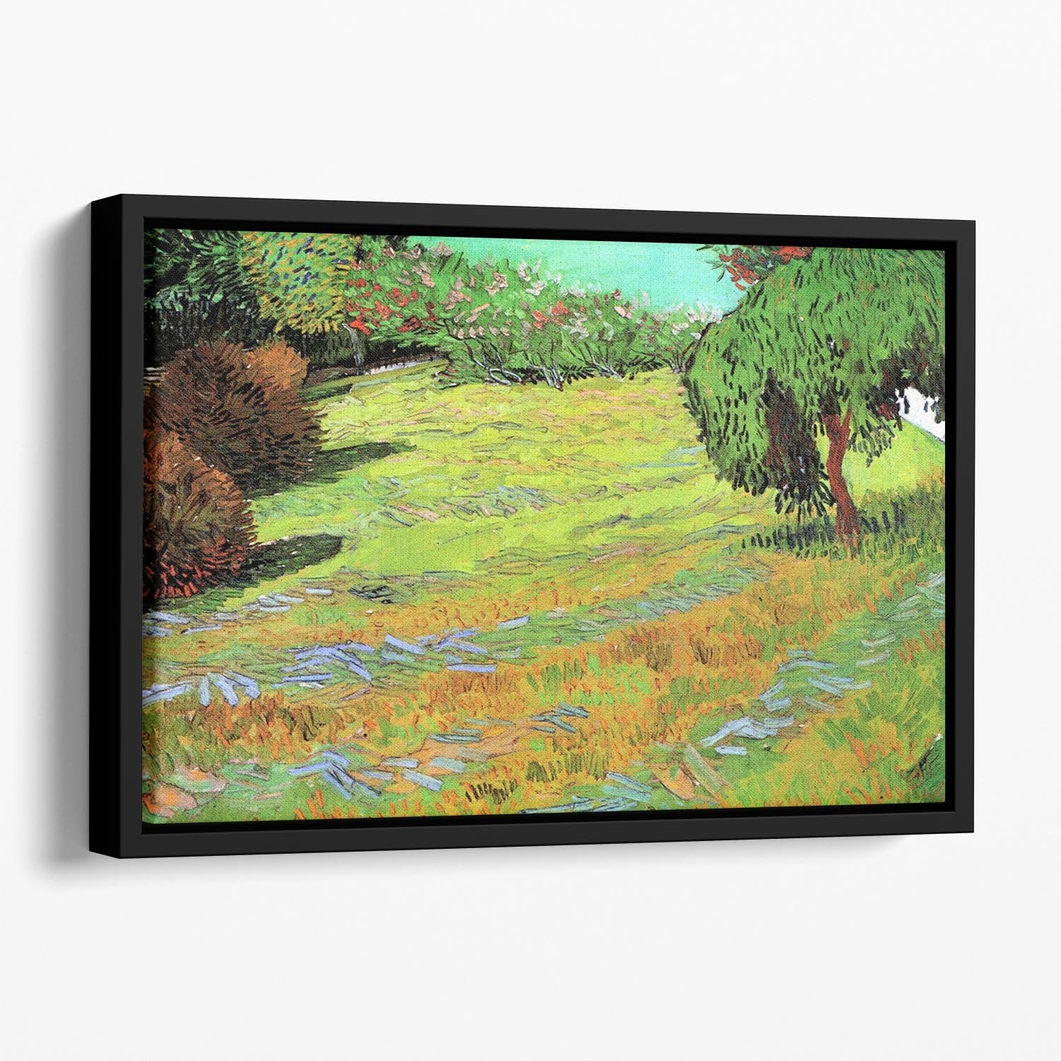 Sunny Lawn in a Public Park by Van Gogh Floating Framed Canvas