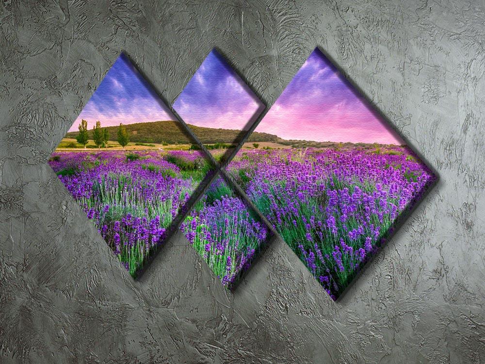 Sunset over a summer lavender field 4 Square Multi Panel Canvas  - Canvas Art Rocks - 2
