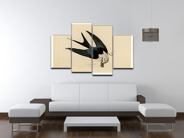 Swallow tailed Hawk by Audubon 4 Split Panel Canvas - Canvas Art Rocks - 3