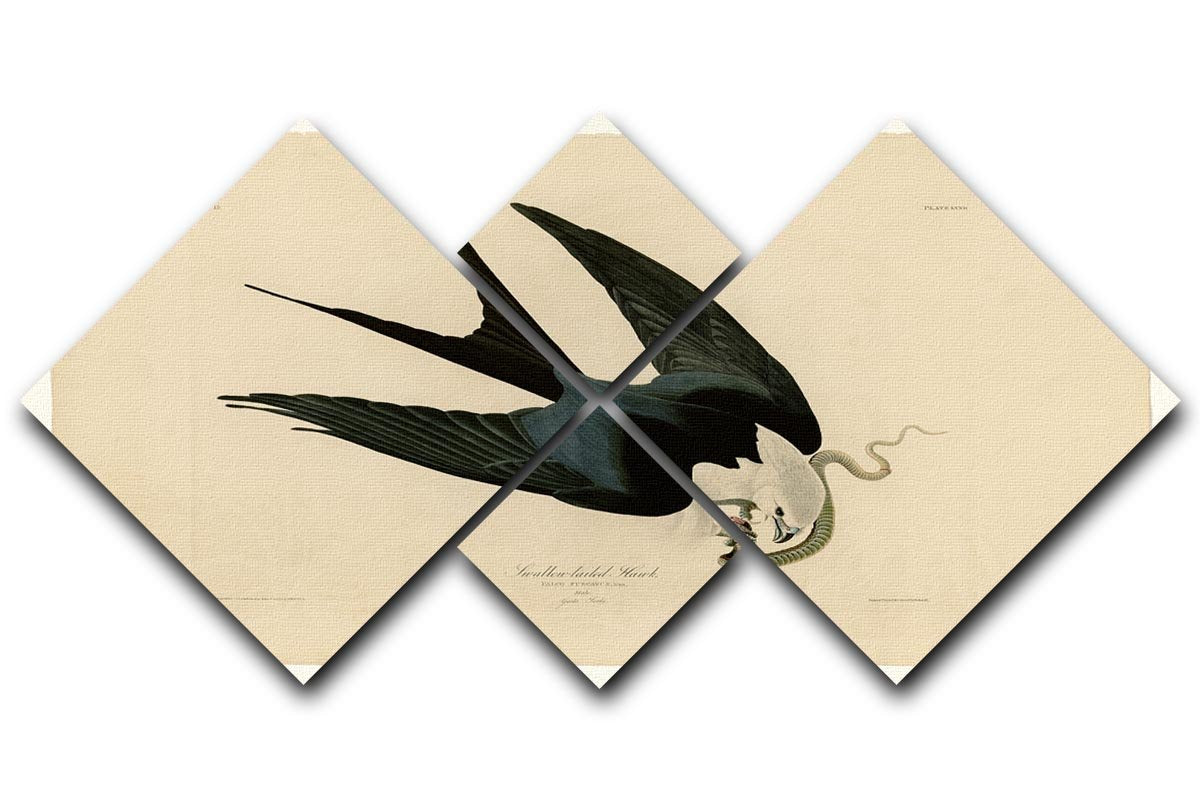 Swallow tailed Hawk by Audubon 4 Square Multi Panel Canvas - Canvas Art Rocks - 1