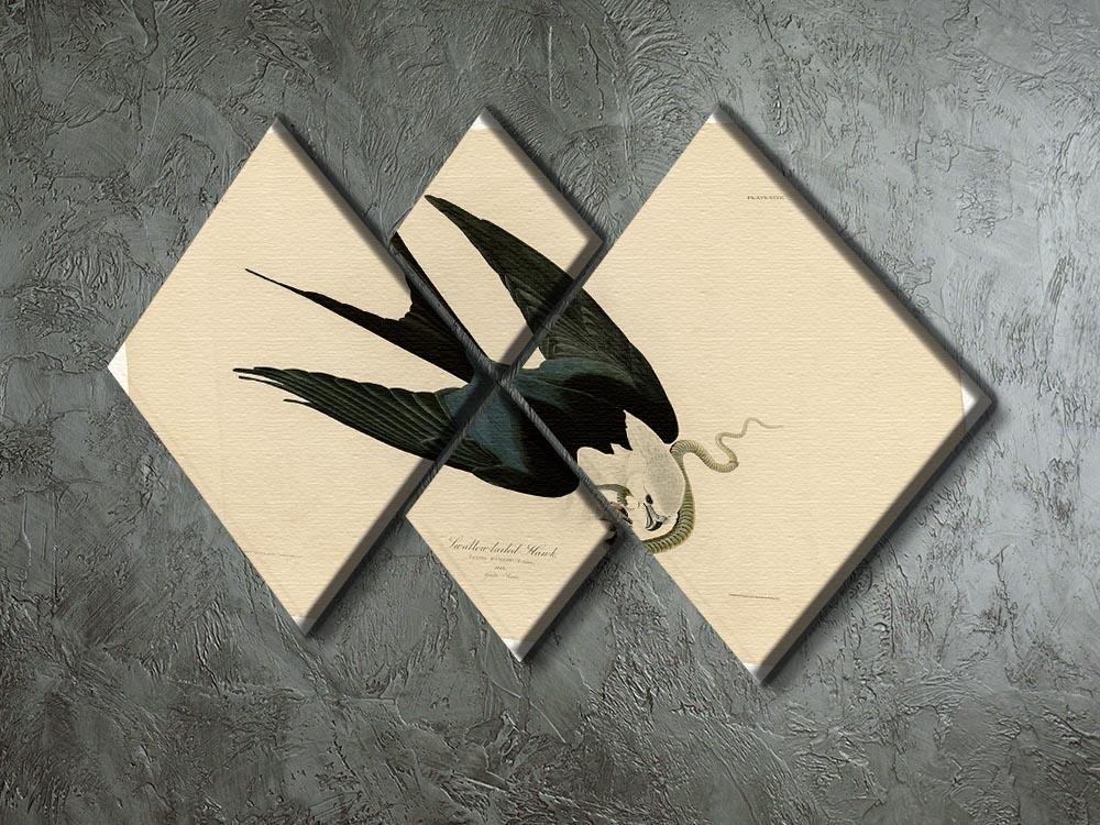 Swallow tailed Hawk by Audubon 4 Square Multi Panel Canvas - Canvas Art Rocks - 2